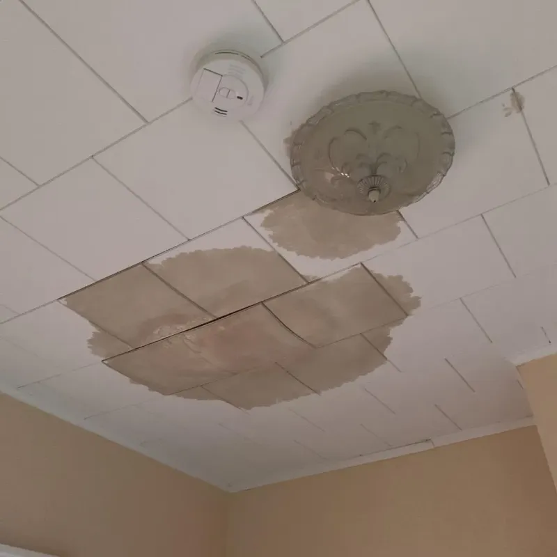 Ceiling Water Damage Repair in Worthington, MN
